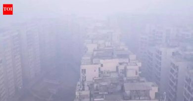 दिल्लीतील धुक्याचे संकट अधिक गडद झाले: ‘गंभीर’ श्रेणीत AQI 439 वर; थंडीची लाट, धुके कायम, दृश्यमानता कमी राहते