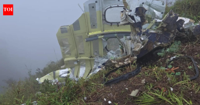 इंडोनेशिया विमान अपघात: बांटीमुरुंग-बुलुसरांग राष्ट्रीय उद्यानात अवशेष सापडले; 10 ऑनबोर्डसाठी शोधा