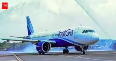 ‘बोर्डावर बॉम्ब’: इंडिगोच्या दिल्ली-बागडोगरा विमानाचे लखनौमध्ये आपत्कालीन लँडिंग; टॉयलेट-पेपर संदेश अलर्ट ट्रिगर करतो