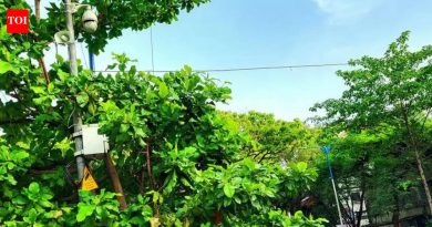 डेक्कन, कर्वे रोड आणि गणेशखिंड रोडवर उद्या वाहनांची ये-जा बंद, या भागातील शाळाही बंद