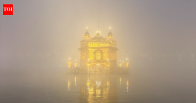 आनंद महिंद्रा भारतातील या ठिकाणाचे सौंदर्य पाहून थक्क झाले आहेत, “आतापर्यंतच्या सर्वात सुंदर फोटोंपैकी एक…” |