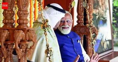 भारत, UAE धोरणात्मक संरक्षण भागीदारीसह संबंध वाढवतील