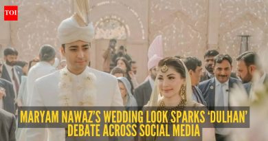 ‘वधूसारखा पोशाख कशाला?’ तिच्या मुलाच्या दुसऱ्या लग्नातील मरियम नवाजच्या लूकने इंटरनेटवर चर्चेला उधाण आले आहे