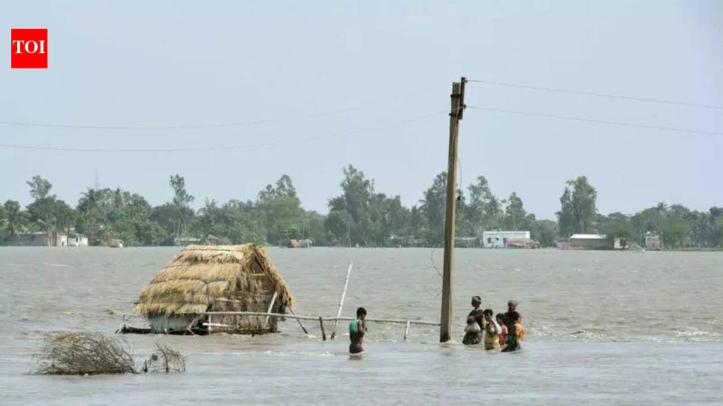 बंगालच्या उपसागरातील चक्रीवादळ 2050 पर्यंत तामिळनाडू, आंध्रला सरकून WB, ओडिशाकडे वळू शकतात