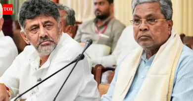 ‘योग्य वेळी निर्णय’: डीके शिवकुमार यांच्या भावाने मुख्यमंत्री पंक्तीत राहुल गांधींना मागे टाकले; सिद्धरामय्या यांनी ‘हाय कमांड’कडे ठेवली
