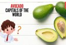 कुतूहल कॉर्नर: जगातील एवोकॅडो राजधानी कोणते आहे