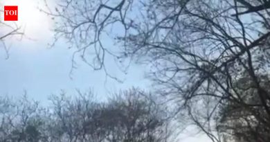 पुनावळे ‘ऑक्सिजन पार्क’चे काम सुरू, कचरा प्रकल्प भंगार