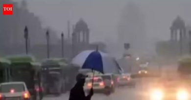 दिल्लीत पावसाचा जोर; गडगडाटी वादळांचा अंदाज, कमाल तापमान 18-20°C पर्यंत घसरण्याची शक्यता | दिल्ली बातम्या