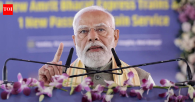 तामिळनाडू निवडणूक: पीएम मोदी म्हणाले की राज्य ‘भ्रष्ट’ द्रमुकला निरोप देण्यास तयार आहे; स्टॅलिनने परत मारले | भारत बातम्या