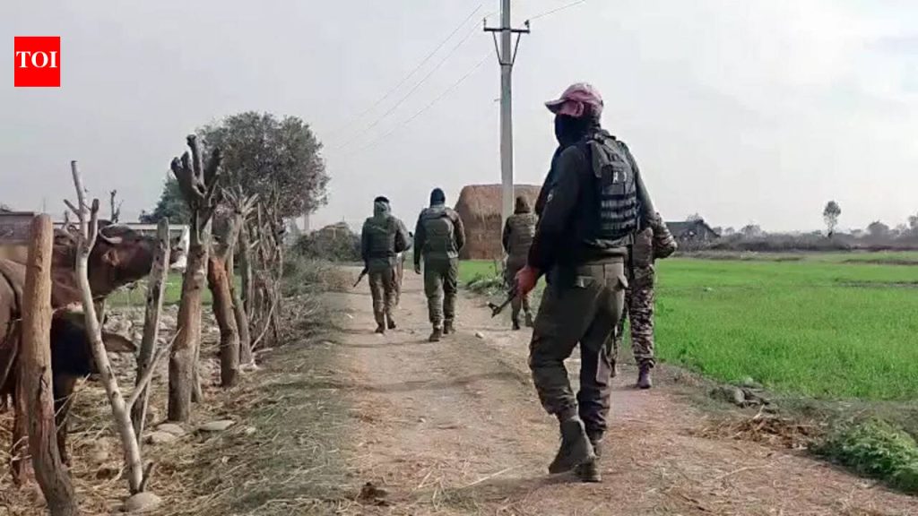 J&K चकमक: कठुआमध्ये एक दहशतवादी ठार; ७ जानेवारीपासून दहशतवादविरोधी कारवाई सुरू भारत बातम्या