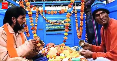 एका महिन्यात आणखी 300 ठार, तेलंगणात कुत्र्यांची संख्या 900 | भारत बातम्या