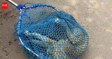 सायकल शर्यतीत सामुदायिक कुत्रे तासन्तास पीएमसी व्हॅनमध्ये ठेवल्याने संताप | पुणे बातम्या