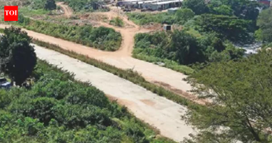 लाल झेंडे असूनही, कर्नाटकने बंगळुरूमध्ये २२ दलित आणि ओबीसी मठांना २५५ कोटी रुपयांची जमीन दिली आहे. बेंगळुरू बातम्या