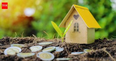 जमिनीत गुंतवणूक करण्यापूर्वी 8 महत्त्वाच्या गोष्टी जाणून घ्या