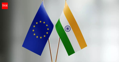 भारत आणि EU यांच्यात दीर्घकाळ प्रलंबित मुक्त व्यापार करार झाला, असे वाणिज्य सचिव म्हणतात