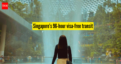सिंगापूरचे 96-तास व्हिसा-मुक्त संक्रमण: कोण पात्र आहे आणि ते कसे कार्य करते |
