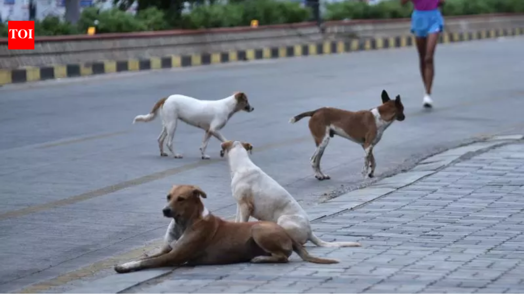 भटक्या कुत्र्यांची मोठ्या प्रमाणावर हत्या सुरूच: तेलंगणात आणखी २०० ठार, एका महिन्यात टोल १,००० पार | हैदराबाद बातम्या
