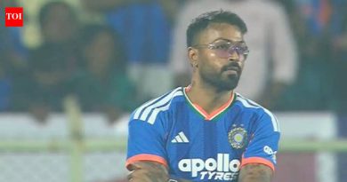 IND vs NZ: हार्दिक पांड्याने चौथ्या T20I दरम्यान शो चोरला – पहा | क्रिकेट बातम्या