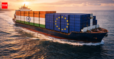 भारत-EU FTA: नव्याने स्वाक्षरी केलेल्या व्यापार करारांतर्गत तुर्कीच्या वस्तू भारतात येतील का?