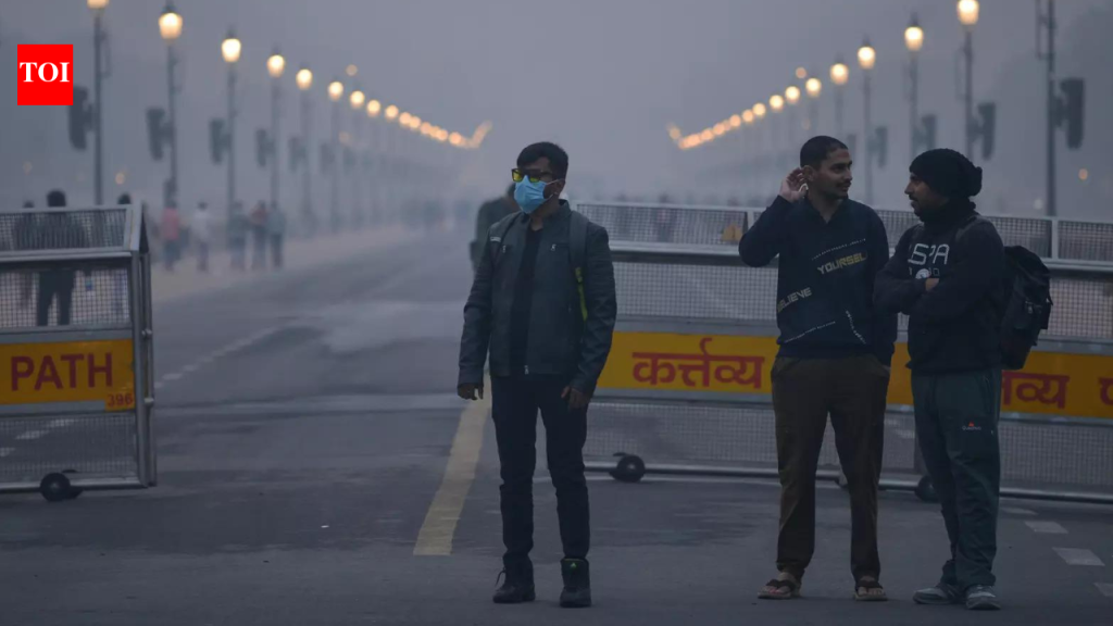 दूषित हवेमुळे भारतात मृत्यू? ‘होय’, ‘सांगता येत नाही’: 2 सरकारची भूमिका वेगवेगळी | दिल्ली बातम्या