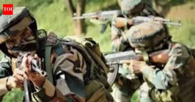 किश्तवाडमध्ये जैश-ए-मोहम्मदच्या दहशतवाद्यांशी 2 आठवड्यांत चौथ्यांदा संपर्क प्रस्थापित झाल्यानंतर ताजी तोफखाना फुटला | जम्मू बातम्या