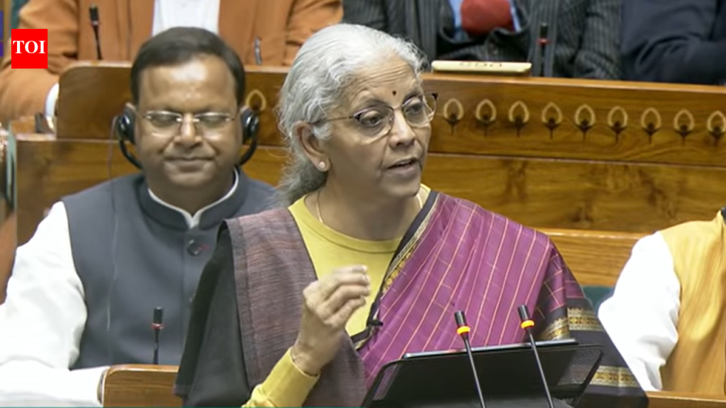 बजेट 2026: ओडिशा, केरळ, आंध्र, तामिळनाडूला समर्पित दुर्मिळ पृथ्वी कॉरिडॉर मिळतील – याचा अर्थ काय?