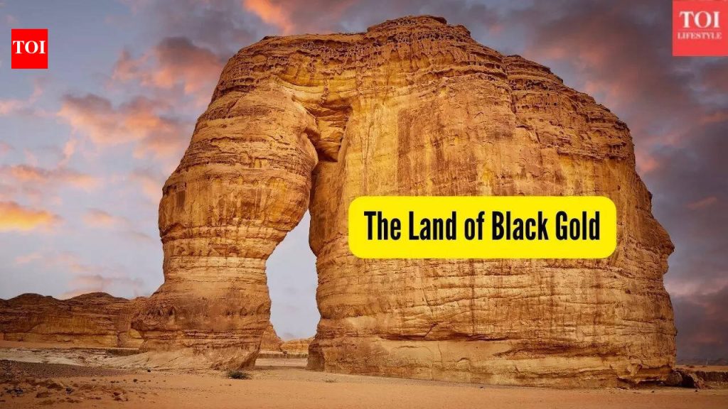 ‘काळ्या सोन्याची भूमी’ म्हणून कोणता देश ओळखला जातो?
