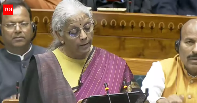 बजेट 2026: कर सुट्टी म्हणजे काय? निर्मला सीतारामन यांनी त्यांच्या अर्थसंकल्पीय भाषणात काय घोषणा केली