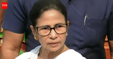 ‘अत्याचारांपासून स्वतःला आवर घाला’: ममता बॅनर्जी विरुद्ध दिल्ली पोलिस SIR वर CEC बैठकीपूर्वी