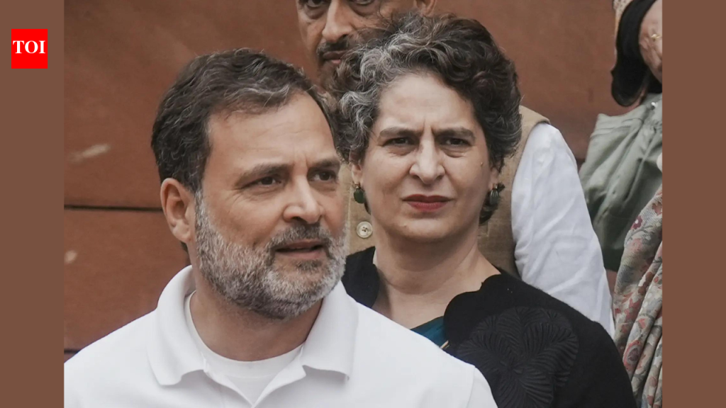 ‘लष्कराची बदनामी करण्याचा प्रयत्न करत नाही’: नरवणेंच्या आठवणीवरून लोकसभेतील गोंधळात प्रियंका गांधी यांनी राहुल गांधींचा बचाव केला