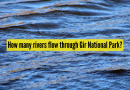 गीर राष्ट्रीय उद्यान: गिर राष्ट्रीय उद्यानातून किती नद्या वाहतात? त्याच्या लाइफलाइन्सवर जवळून नजर टाकणे |