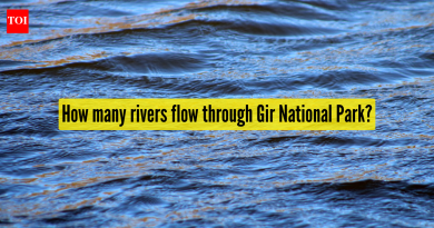 गीर राष्ट्रीय उद्यान: गिर राष्ट्रीय उद्यानातून किती नद्या वाहतात? त्याच्या लाइफलाइन्सवर जवळून नजर टाकणे |