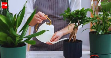 जुने, तुटलेले भांडे आणि कुकवेअरचे 5 उत्कृष्ट उपयोग |