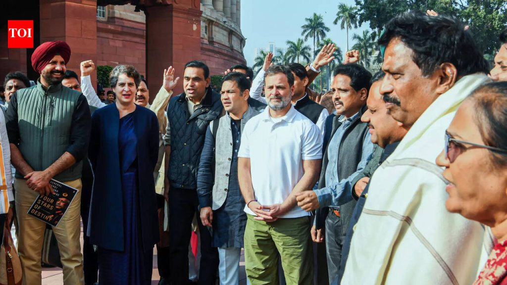 माजी लष्करप्रमुखांच्या पुस्तकावरून लोकसभेत गोंधळानंतर 8 विरोधी खासदारांचे निलंबन