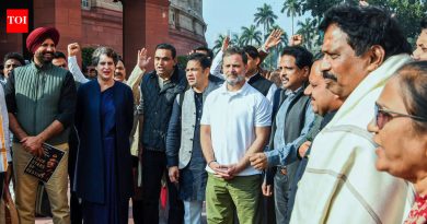 माजी लष्करप्रमुखांच्या पुस्तकावरून लोकसभेत गोंधळानंतर 8 विरोधी खासदारांचे निलंबन