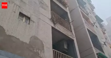 ‘लव्ह गेम’: गाझियाबादच्या बहिणींना व्यसनाधीन कोरियन टास्क-आधारित ॲप काय आहे?