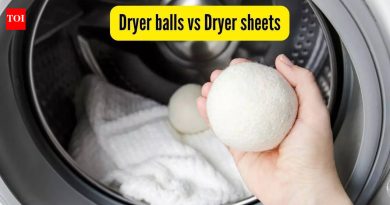 ड्रायर बॉल्स विरुद्ध ड्रायर शीट्स ते वॉशिंग मशीनमध्ये का वापरावे आणि कोणते चांगले आहे?