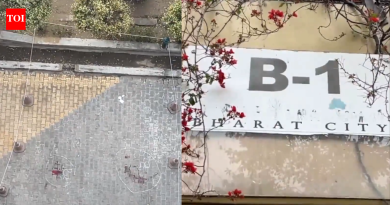 ‘प्राची बॉस होती’: गाझियाबादचा माणूस टास्क-बेस्ड कोरियन गेमबद्दल ‘अज्ञान’, मुलींनी फोन टाकला आणि उडी मारली