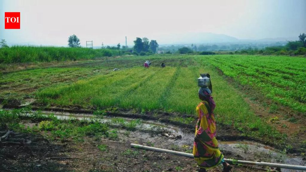 पुरंदर विमानतळ भूसंपादनासाठी निधीचा प्रस्ताव एमआयडीसी पुढील मंत्रिमंडळ बैठकीपूर्वी सादर करणार : फडणवीस