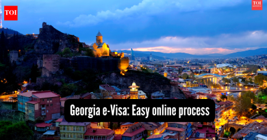 जॉर्जिया ई-व्हिसा: जॉर्जियाला भेट देणाऱ्या भारतीय प्रवासींमध्ये 40% वाढ झाल्यामुळे, अल्प-मुदतीच्या प्रवाशांसाठी ई-व्हिसा प्रक्रिया, पात्रता, दस्तऐवज, शुल्क आणि वैधता याबद्दल सर्व काही |