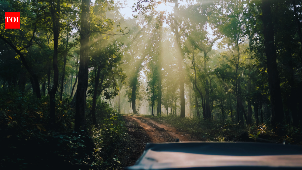 मेनपतला छत्तीसगडचा ‘शिमला’ का म्हणतात, आणि उलटा पानीने गुरुत्वाकर्षणाला कसे मूर्ख बनवले |