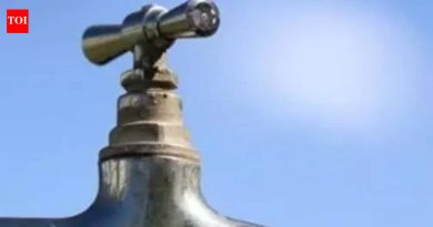 पाणीपुरवठ्यात व्यत्यय आल्याने विविध पीएमसी भागातील रहिवासी हैराण झाले आहेत