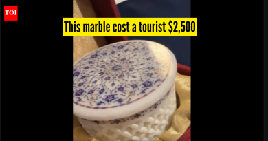 “माझी फसवणूक झाली होती का?” पर्यटक आग्रा येथे ,500 मध्ये एक लहान संगमरवरी स्मरणिका विकत घेतल्यानंतर विचारतो; घोटाळ्याच्या चर्चेला उधाण आले |