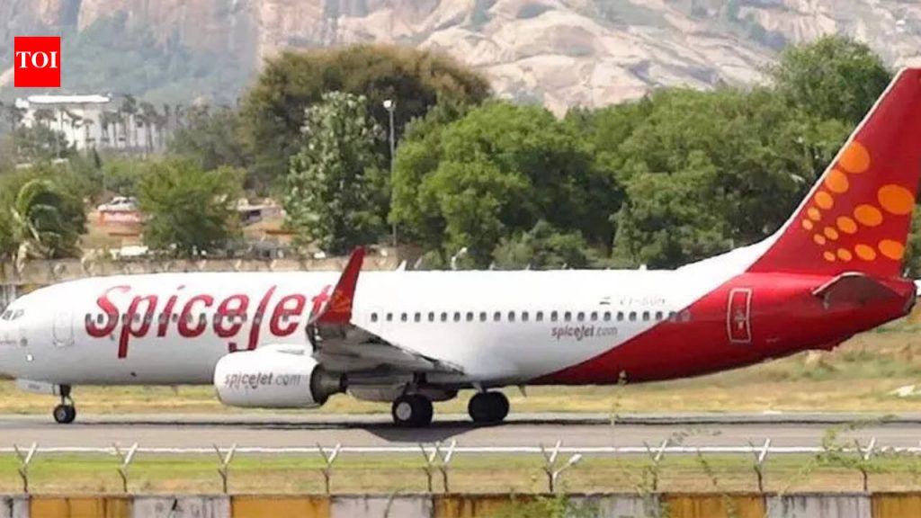 दुबईला जाणाऱ्या विमानाला अनेक विलंब, सहा तास उशिराने उड्डाण केल्याने पुणे विमानतळावर प्रवाशांना अडचणींचा सामना करावा लागतो.