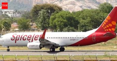 दुबईला जाणाऱ्या विमानाला अनेक विलंब, सहा तास उशिराने उड्डाण केल्याने पुणे विमानतळावर प्रवाशांना अडचणींचा सामना करावा लागतो.