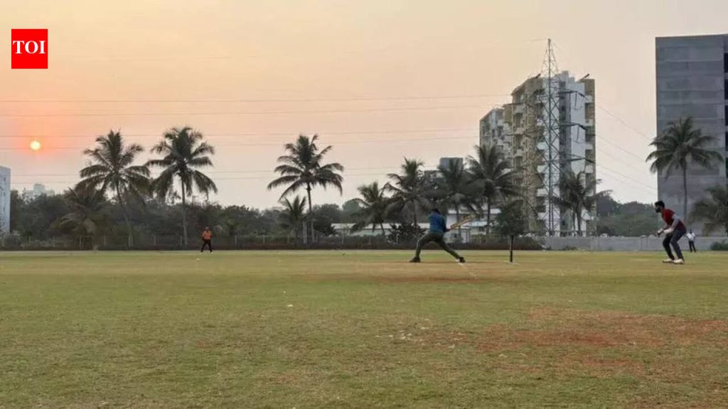 क्रिकेट शेतजमिनींवर पसरते, रोजगार निर्माण करते आणि खेळ टिकवते