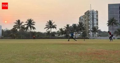 क्रिकेट शेतजमिनींवर पसरते, रोजगार निर्माण करते आणि खेळ टिकवते