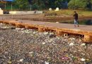 घोड नदी प्रदूषित केल्याबद्दल NGT ने साखर सहकारी कंपनीला 1.06 कोटी रुपये देण्याचे निर्देश दिले