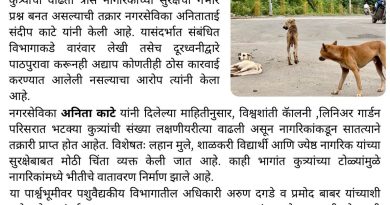 पिंपळे सौदागरमध्ये भटक्या कुत्र्यांचा वाढता त्रास; तातडीने कारवाईची नगरसेविका अनिताताई काटे यांची मागणी