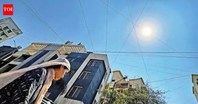 पुण्यात पारा आणखी चढल्याने हंगामातील सर्वाधिक तापमानाची नोंद; लोहेगाव ३७.७ अंश सेल्सिअस तापमानात जळते